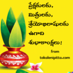 HAPPY-UGADI-TOKALENIPITTA-VIEWERS